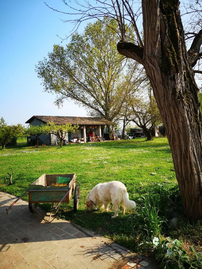 Agriturismo Elianto Ravenne Extérieur photo
